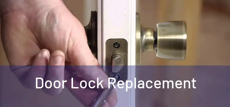  Door Lock Replacement 